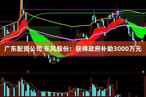 广东配资公司 东风股份：获得政府补助3000万元