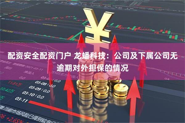 配资安全配资门户 龙蟠科技：公司及下属公司无逾期对外担保的情况