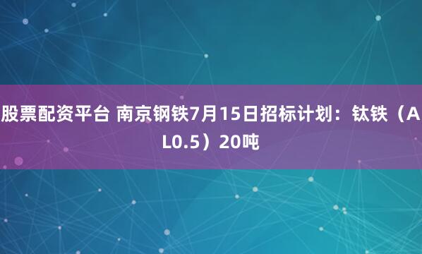股票配资平台 南京钢铁7月15日招标计划：钛铁（AL0.5）20吨